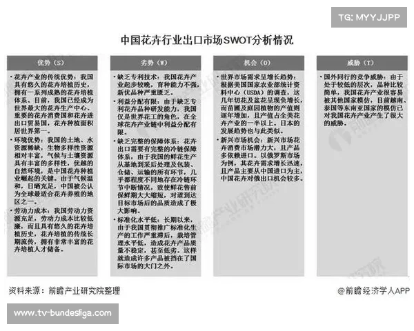 洲际杯赛制改革带来的影响与挑战全面分析 洲际杯赛制改革带来的影响与挑战全面分析
